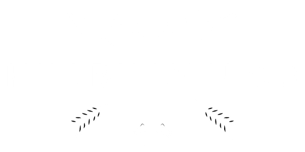 Hillbilly N Co